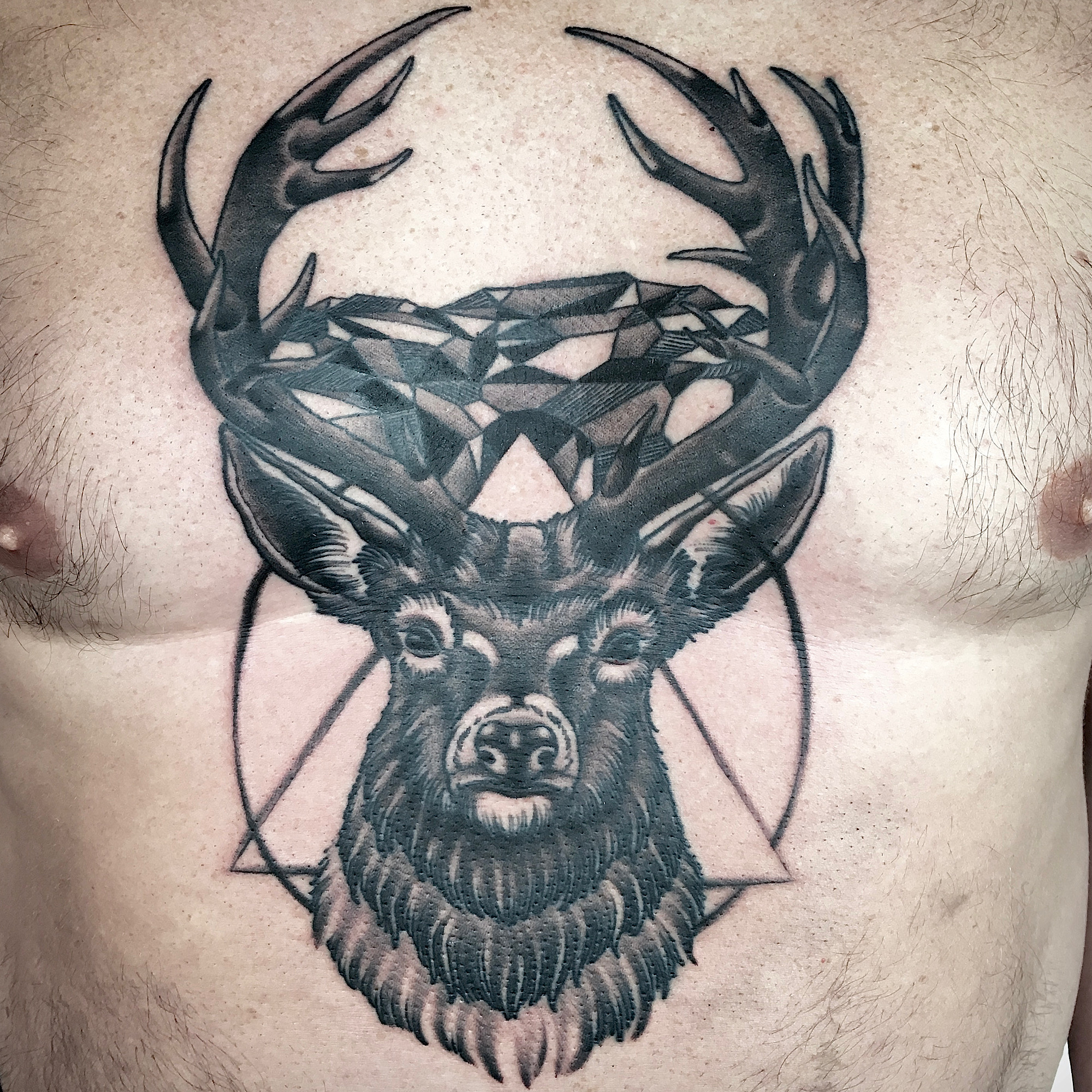 Geometric stag red deer buck with antlers and geometry mountain background black and grey tattoo by ricks custom tattooing Ricardo Pedro